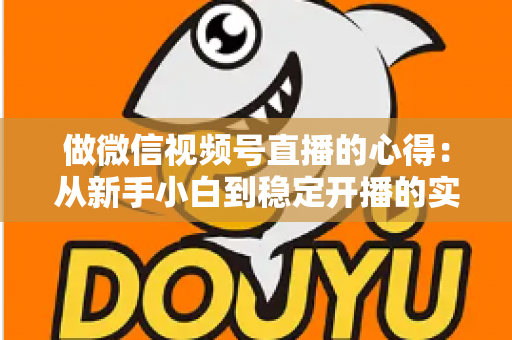 做微信视频号直播的心得：从新手小白到稳定开播的实战经验全解析