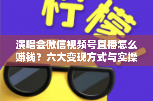 演唱会微信视频号直播怎么赚钱？六大变现方式与实操指南全面解析