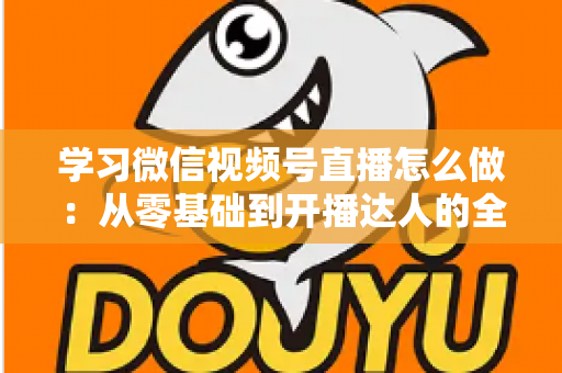 学习微信视频号直播怎么做：从零基础到开播达人的全流程实战指南
