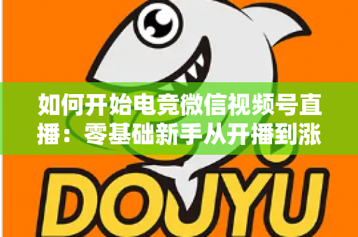 如何开始电竞微信视频号直播：零基础新手从开播到涨粉的完整实战指南
