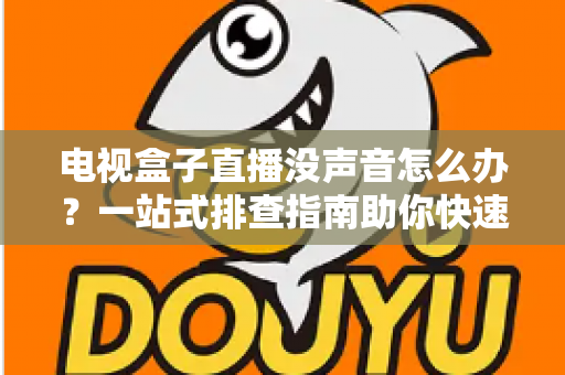 电视盒子直播没声音怎么办？一站式排查指南助你快速恢复声音