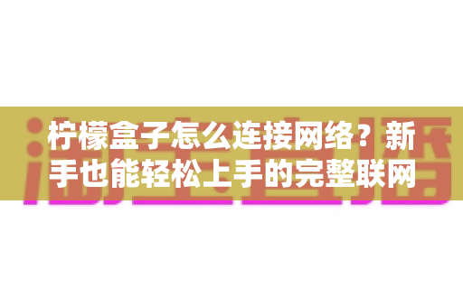柠檬盒子怎么连接网络？新手也能轻松上手的完整联网攻略与故障排除指南